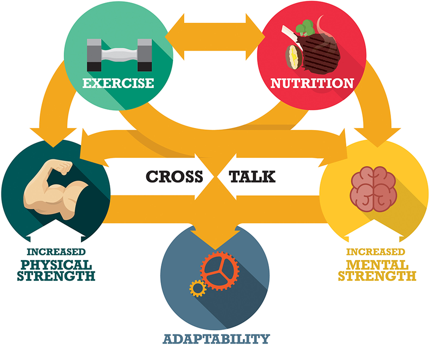 Energy Kaise Increase Kare