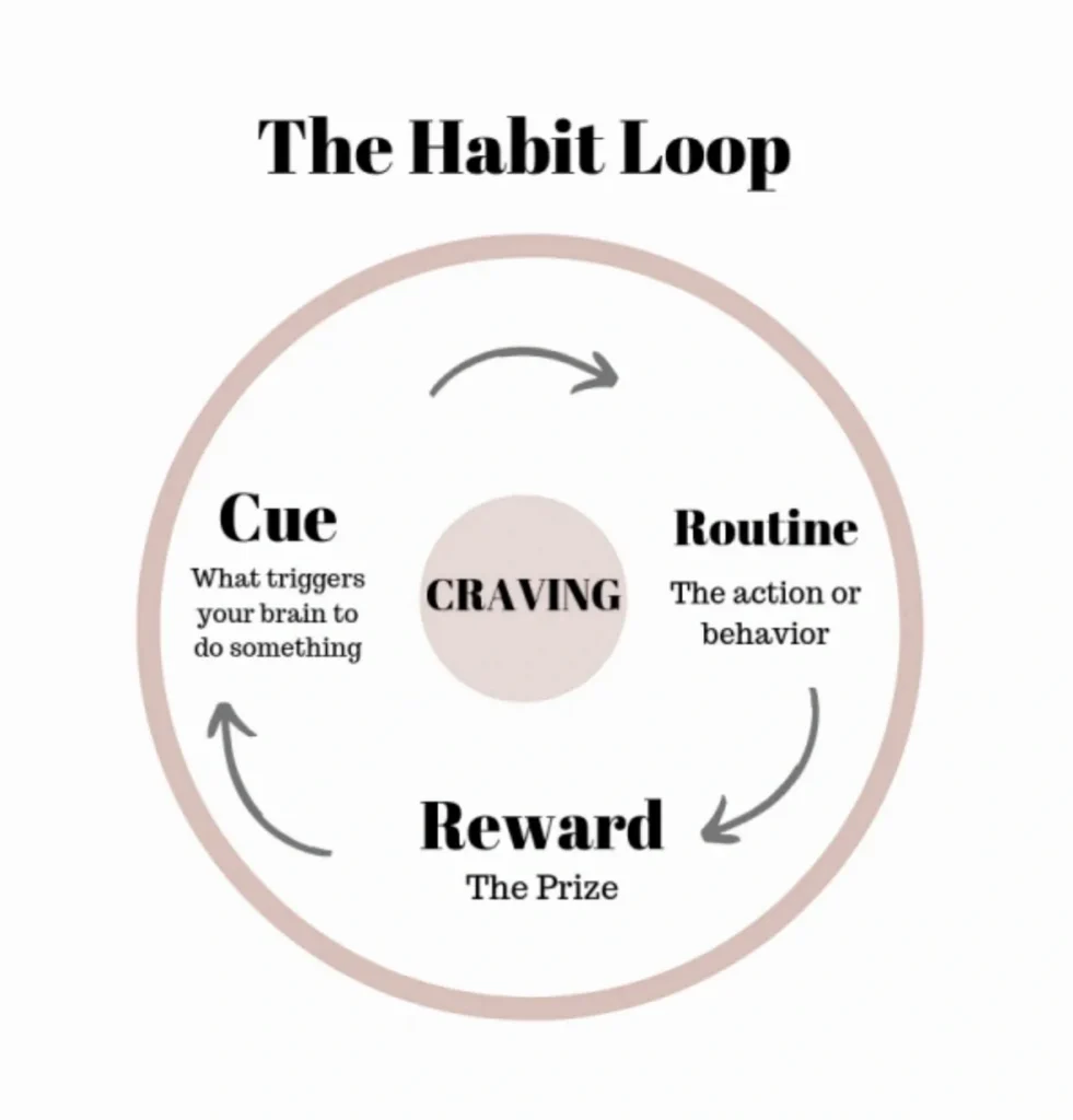 Habit loop – cue routine reward cycle habit formation illustration picture.