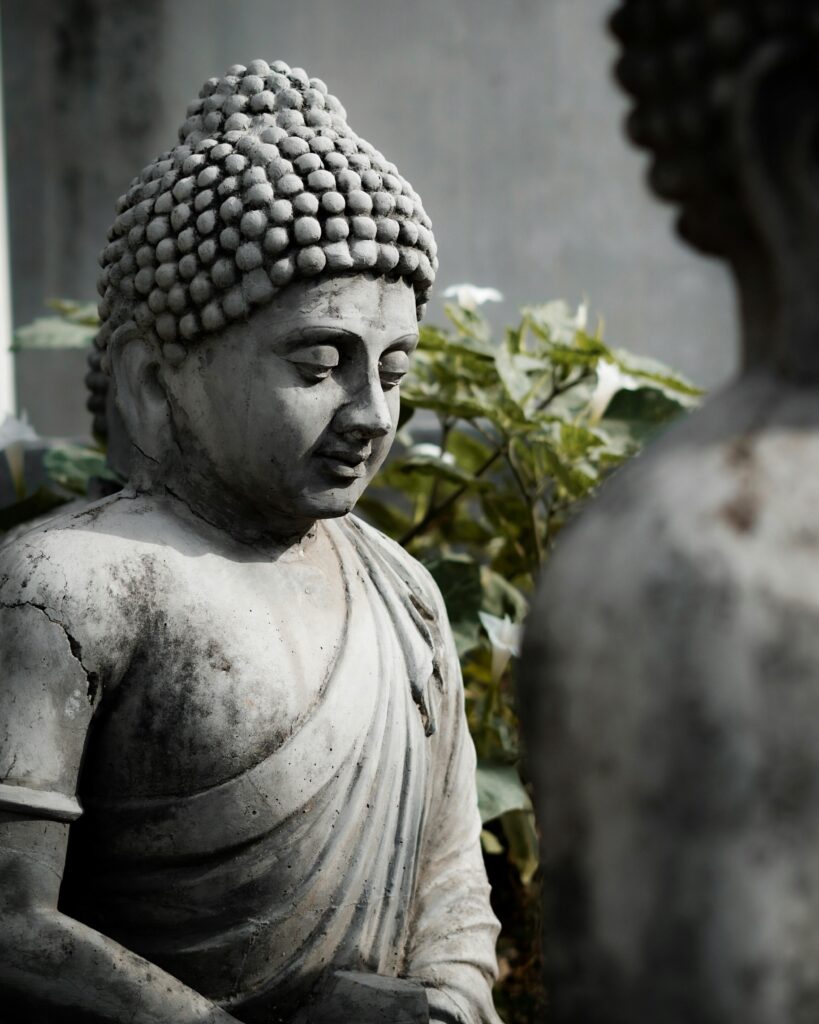 Close-up of serene Buddha statue surrounded by leaves, symbolizing peace and spirituality.